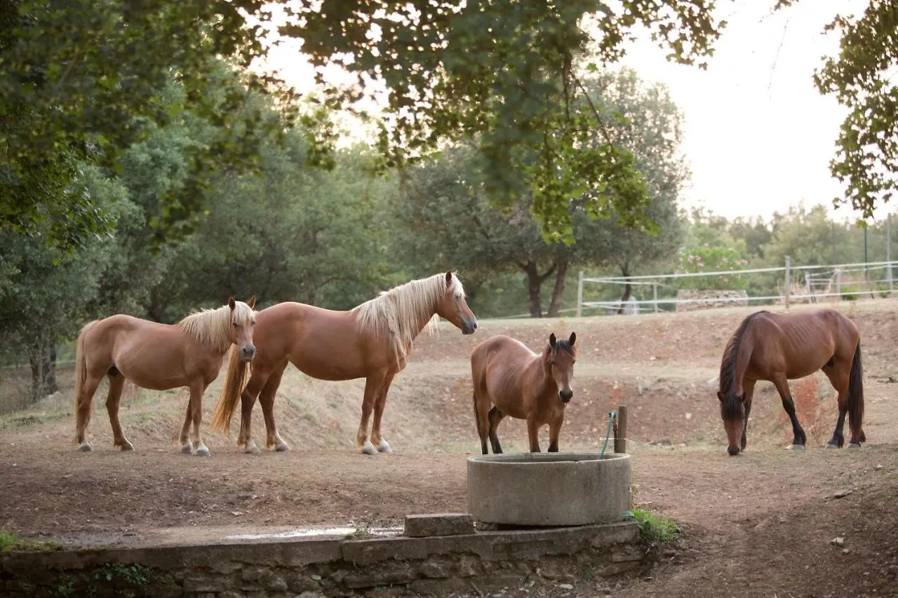 Agriturismo Podere Poggiarone Rapolano Terme Farm stay